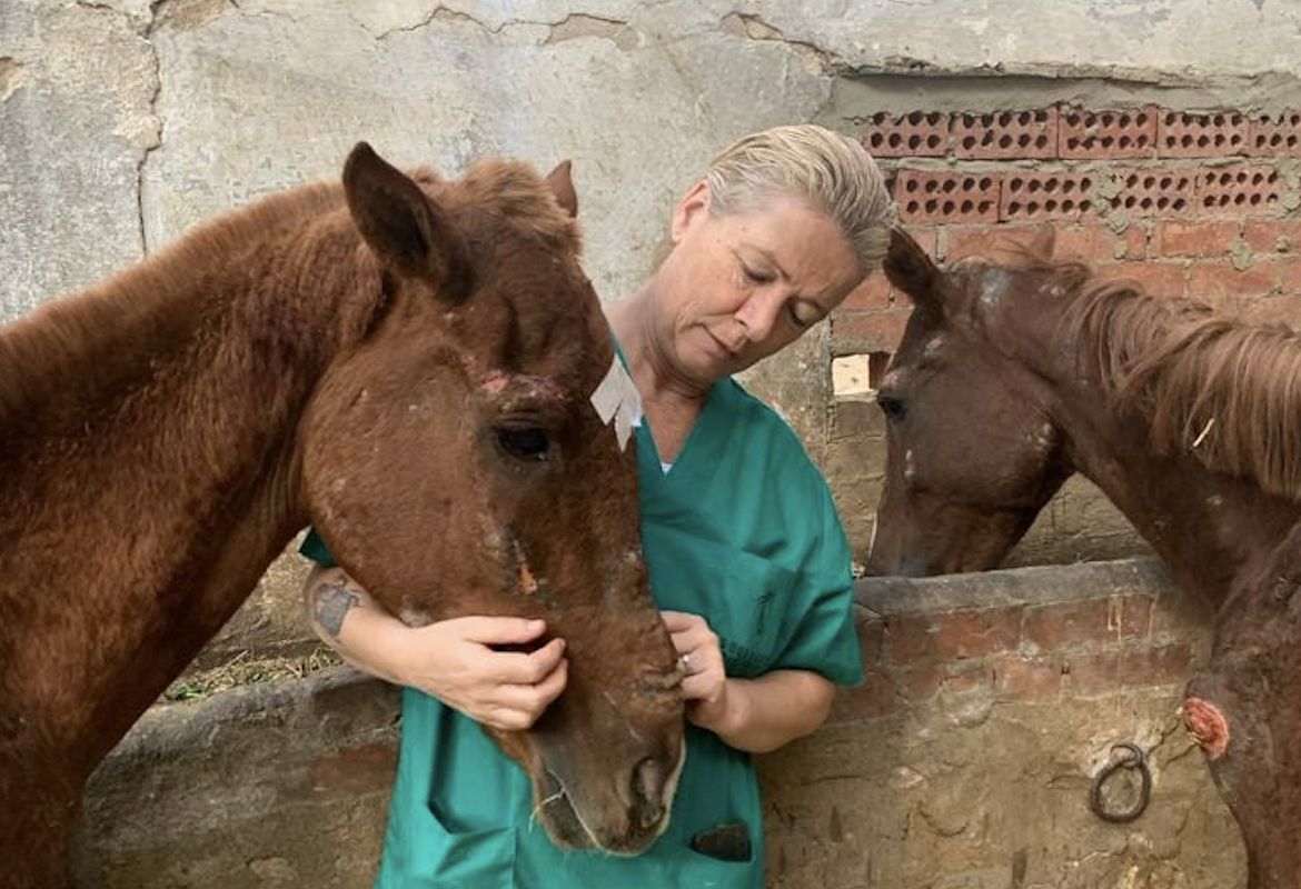 joke and two horses